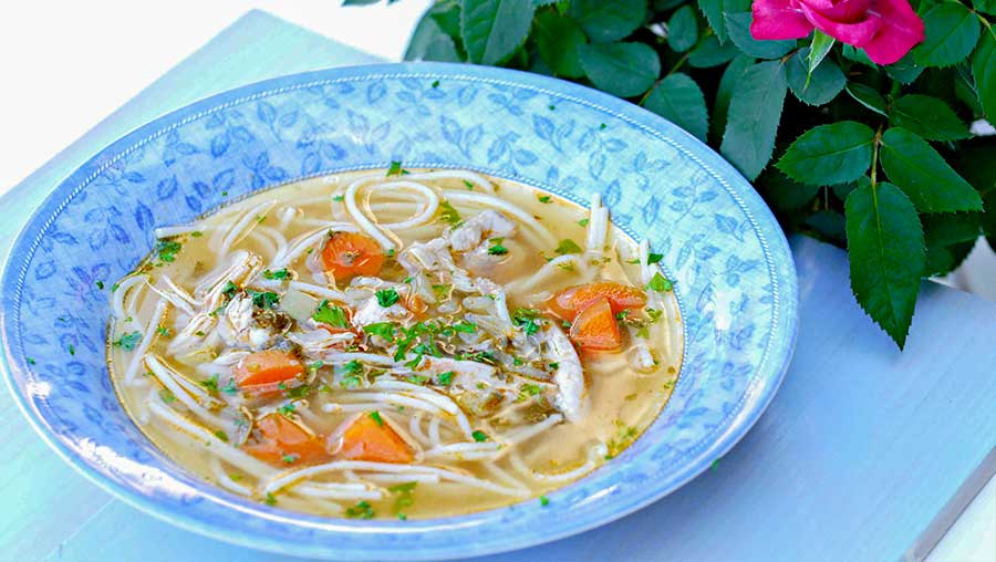 chicken noodle soup, gluten free