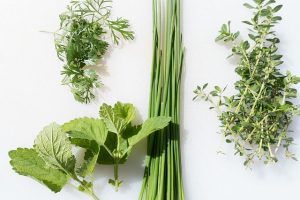 fresh herbs