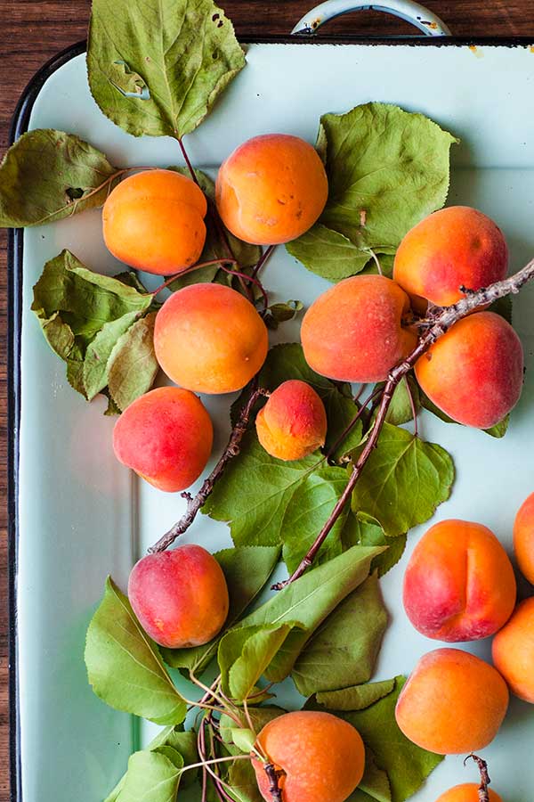 fresh apricots on a pan