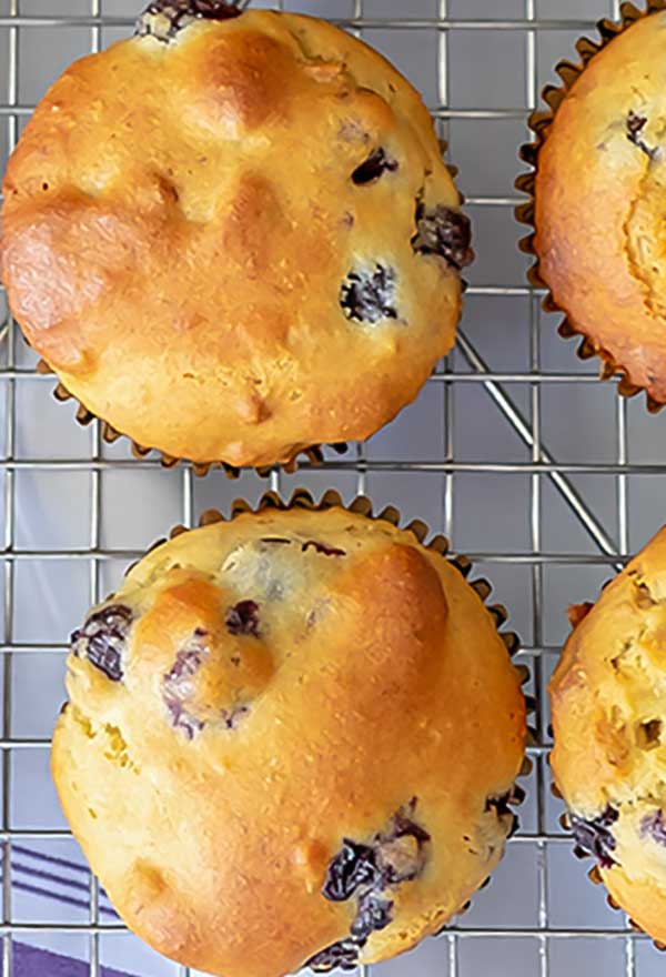 2 blueberry walnut muffins