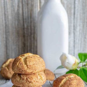 Healthier Gluten-Free Snickerdoodle Recipe