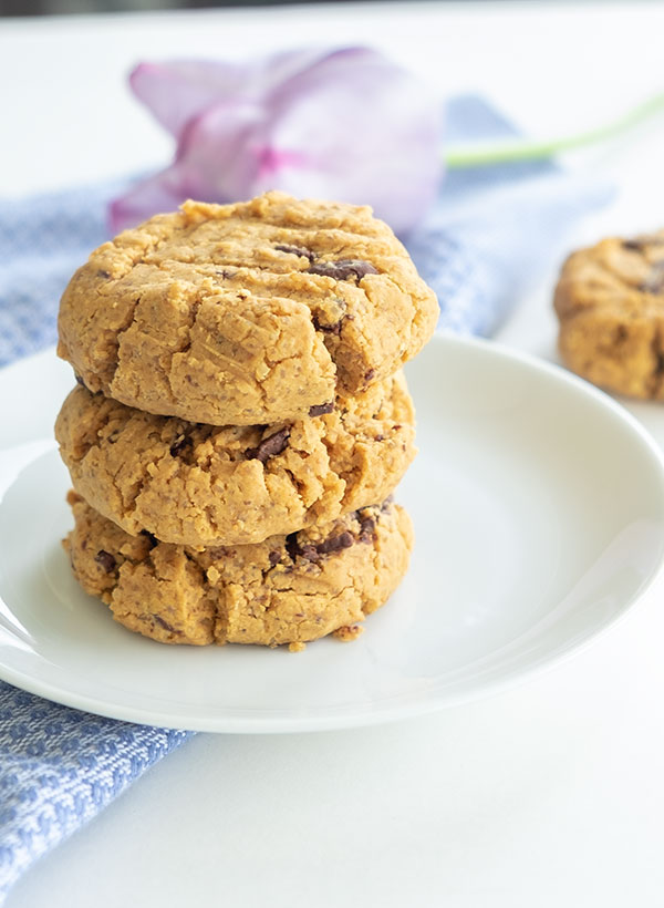5 Ingredient Gluten-Free Peanut Butter Chocolate Chip Cookies (Grain-Free, Dairy-Free)