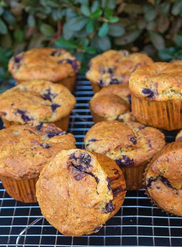 Gluten-Free Chia Muffin With Blueberries