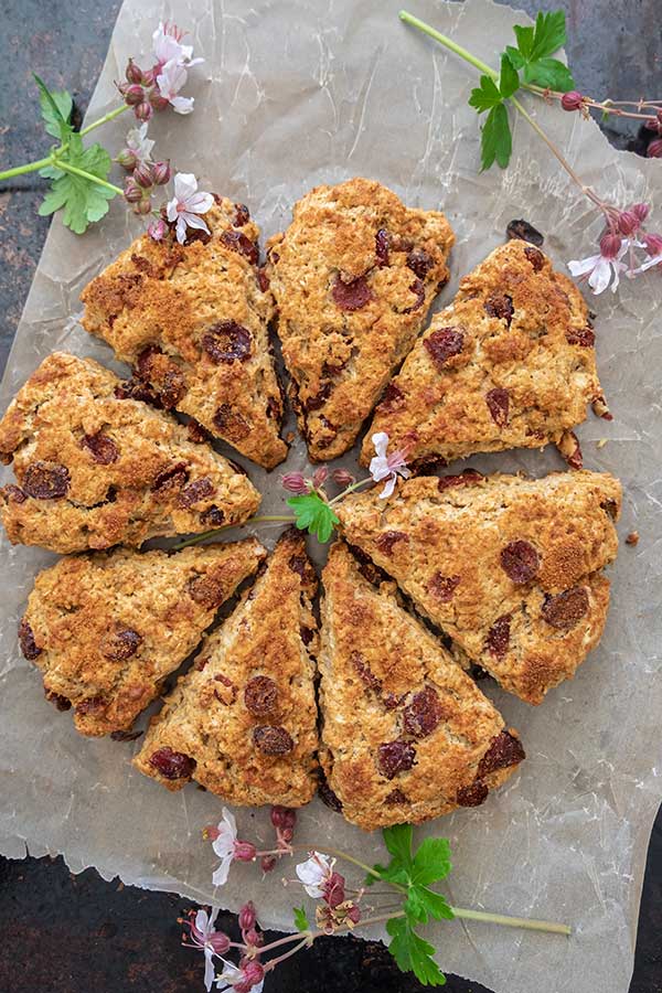 gluten-free oat scones