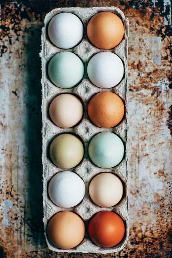 12 eggs in an egg carton