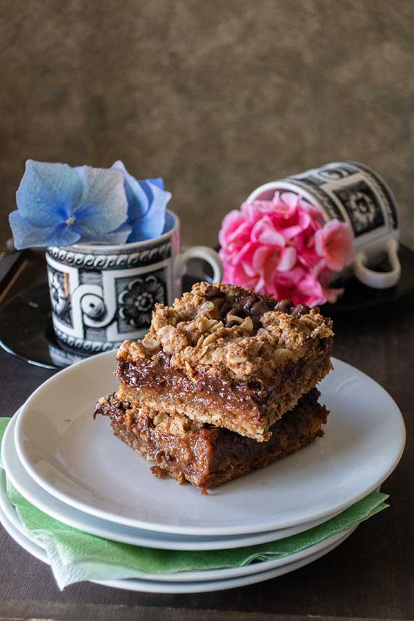 Gluten-Free Chocolate Mocha Oat Bars