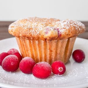 Gluten-Free Low Fat Cranberry Muffins