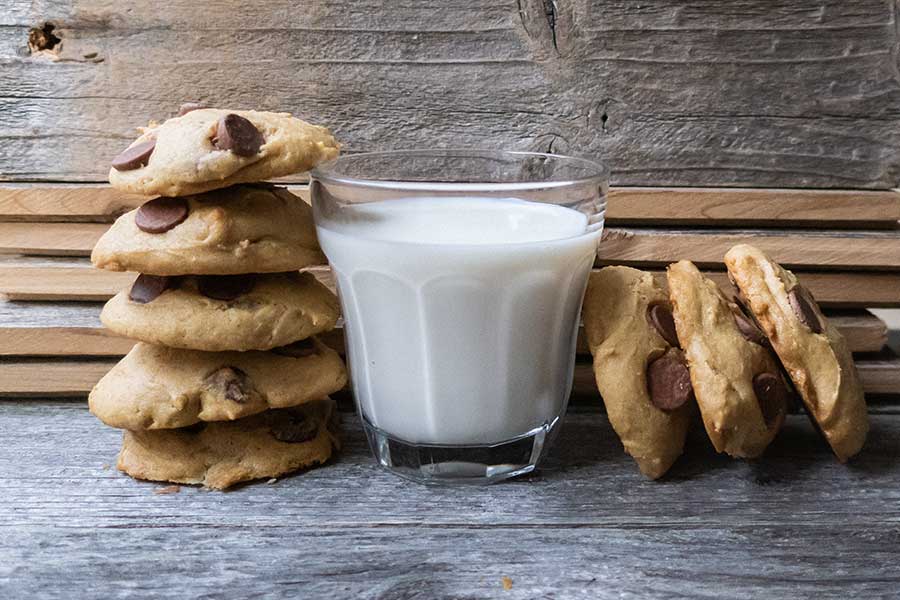 grain-free chocolate chip cookie