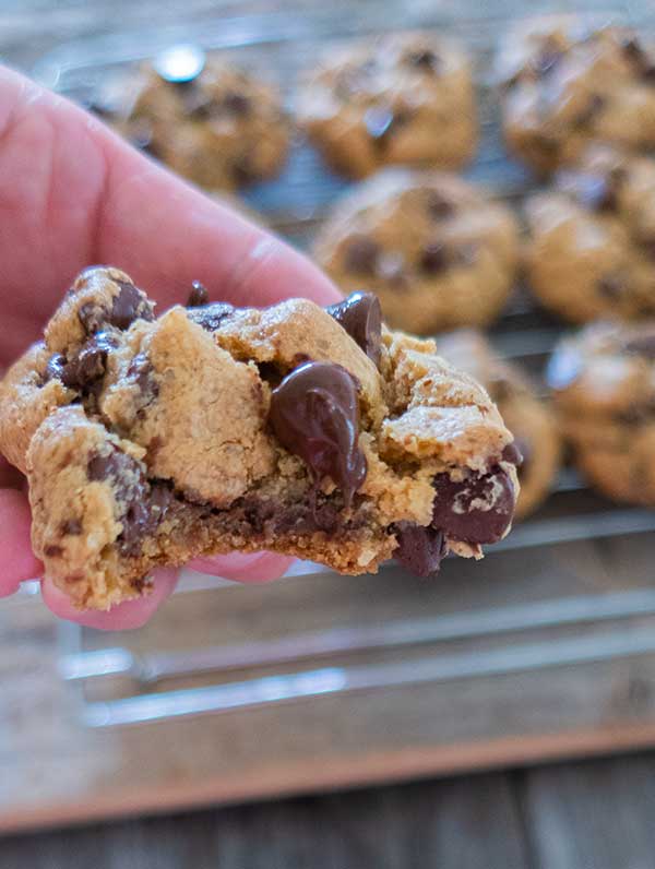 gluten-free chocolate chip cookie