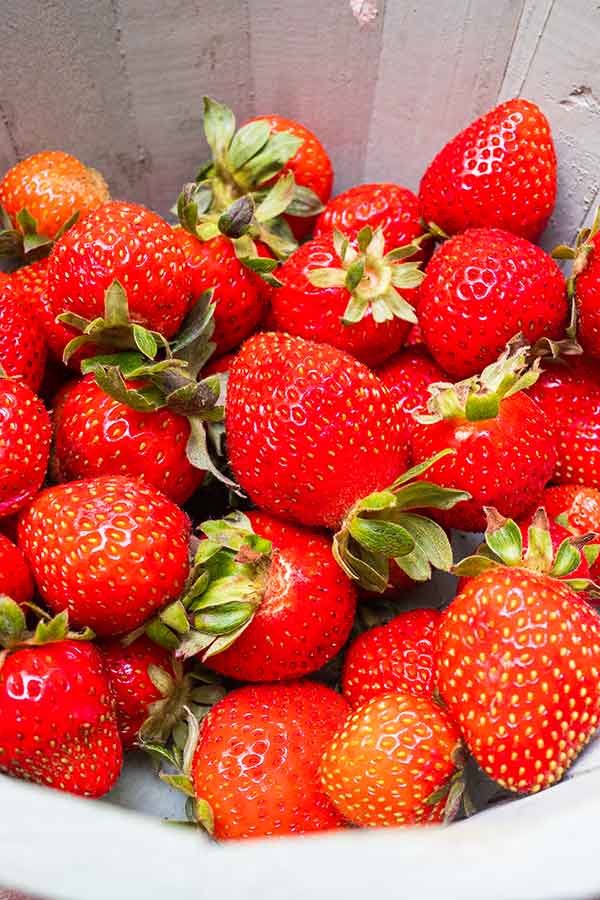 organic vs conventional strawberries
