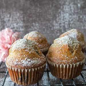 Vey Best Gluten-Free Blender Muffin Recipe