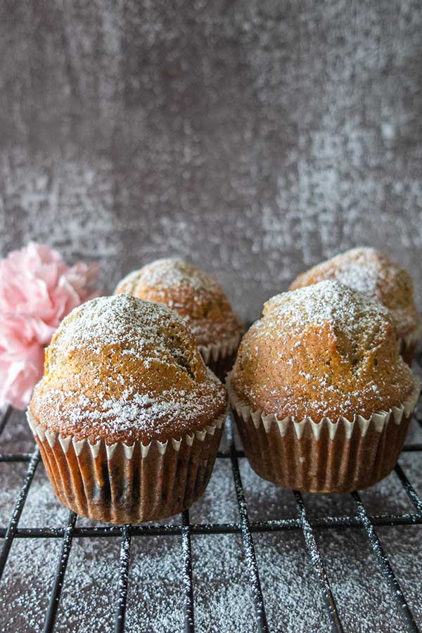 Vey Best Gluten-Free Blender Muffin Recipe