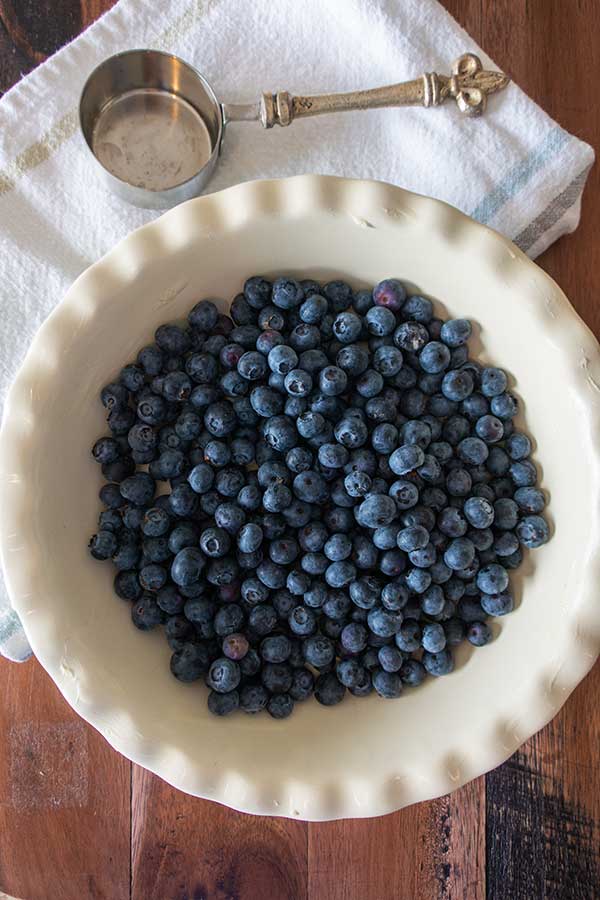 fresh blueberries in a pie dish