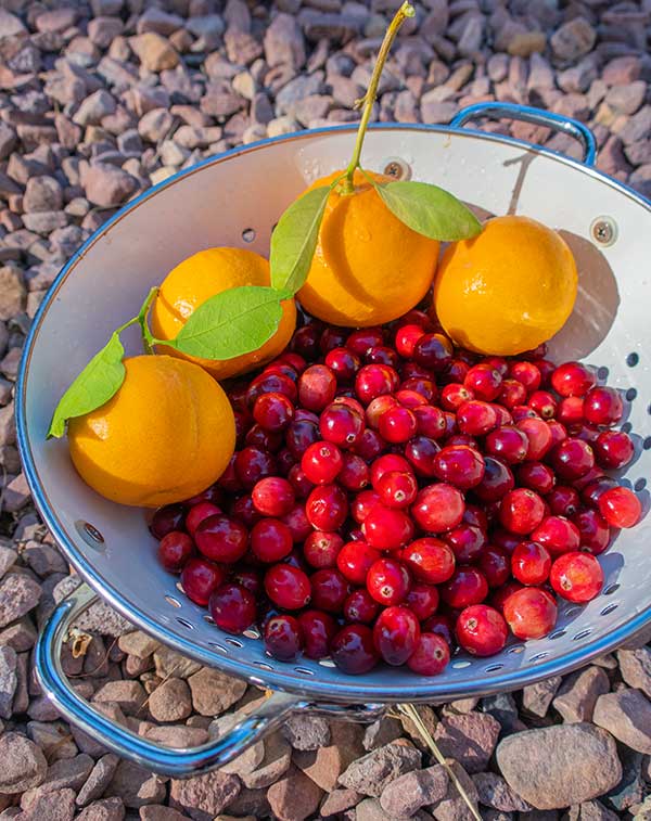 cranberries and oranges in a colander