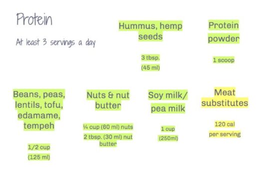 portions for vegan weight loss