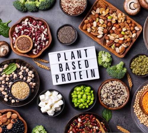 plant based vegan bodybuilding