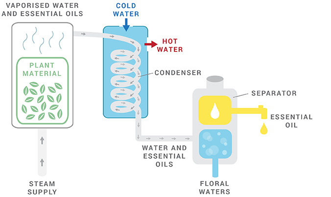 蒸馏法.jpg Steam Distillation