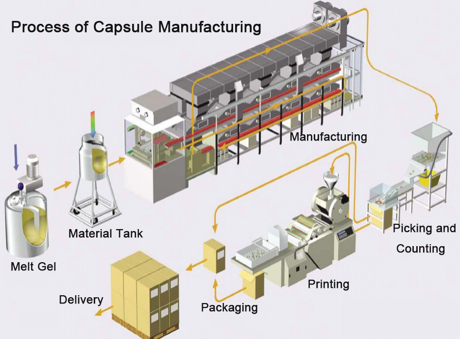 Process of Capsule Manufacturing.jpg Process of Capsule Manufacturing.jpg