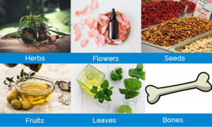 Oil Extraction and Concentration Equipment line