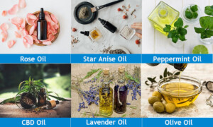 Extraction and Concentration Equipment Line