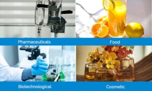 Application of Industrial Electric Pure Steam Generator