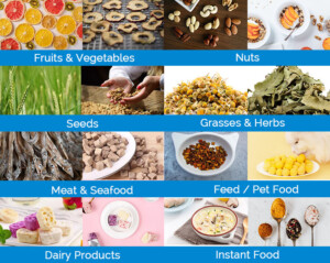 Application of Vacuum Freeze Dryer Machine